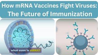 How mRNA Vaccines Fight Viruses The Future of Immunization [upl. by Olwena]