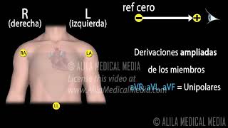 ECG de 12 Derivaciones Explicado Animación Alila Medical Media Español USO EDUCATIVOTP IVUNR [upl. by Clance]