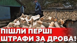 Почались штрафи за дрова без документів А влада Придумала як обскубати населення ще більше [upl. by Ahsekam74]