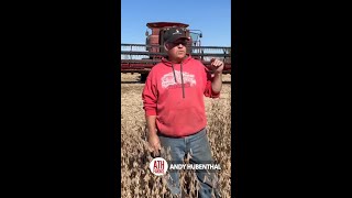 Soybean Trial Update [upl. by Jacquette740]