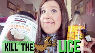 BACK TO SCHOOL TIPS  HOW TO GET RID OF HEAD LICE  NATURAL REMEDIES TO CURE LICE IN 24 HOURS [upl. by Reivaxe]