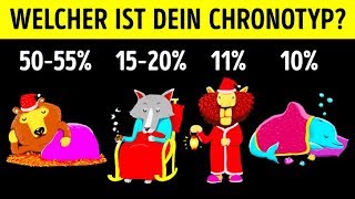 Dieser schnelle Test verrät deinen SchlafChronotyp [upl. by Annaoi]