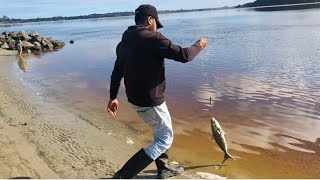 Surfcasting  Nz fishing [upl. by Sadirah282]