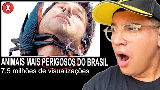 Reagindo Aos 8 Animais Mais Perigosos do Brasil dos Quais Você Deve Fugir Ronan Santos [upl. by Abdulla731]