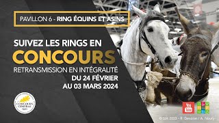 Ring Équins et Asins 27022024 [upl. by Balthazar200]