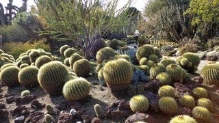 Huntington Botanical Gardens Tour [upl. by Fondea469]