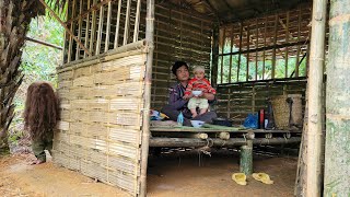 single father harvesting oranges to sell at the market  Nông Thôn [upl. by Dleifniw265]