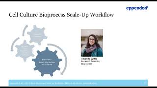 Cell Culture Bioprocess ScaleUp Workflow from Bench to PilotProduction Scale [upl. by Nelle]