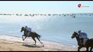 1 Carrera de Caballos premio Reale Seguros  Jornada 13 de agosto 2016  Sanlúcar de Barrameda [upl. by Jammal]