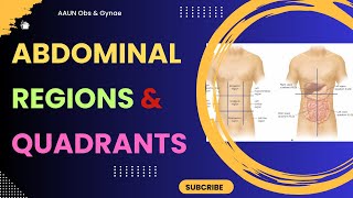 Nine Abdominal Regions and Four Abdominal Quadrants [upl. by Ainot]