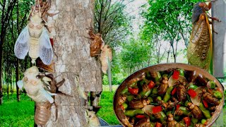 Rural life Free Meal Night Cicada Larva Hunt and Cooking Delicious Rural Dishes Under Cashew Tree [upl. by Mirella]