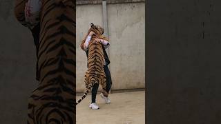 Tiger Meets me After 4 Months  Nouman Hassan [upl. by Artenra]