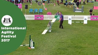 Small Grade 5 Agility with LHO  Part 2  International Agility Festival 2017 [upl. by Leummas212]