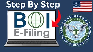 How to File a BOI Report for Your LLC StepByStep in 2024 [upl. by O'Connor]