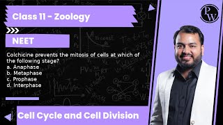 Colchicine prevents the mitosis of cells at which of the following stage a Anaphase b Metaphas [upl. by Aihsiym]