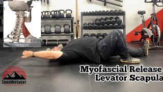 Myofascial Release Levator Scapulae [upl. by Huan]