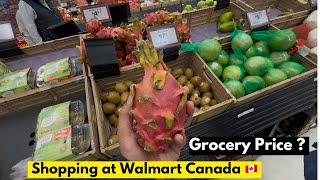 Day 60 in Canada Walmart Grocery Haul amp DollarMax Household Finds  Budget Shopping Tips 🇨🇦 [upl. by Airotcivairam]