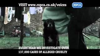 RSPCA Campaigns  Voices [upl. by Cirnek]