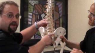 Low Back Pain  Pinched Nerve  Chiropractic Low Back Adjustment [upl. by Adyl58]