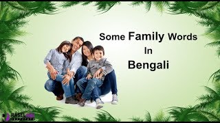 Learn Bengali Family Relationships Words in English For Beginners [upl. by Plunkett554]