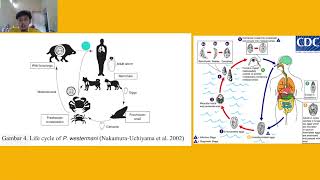 Paragonimus westermani di Kawasan Tropis The Ways to Find It [upl. by Ullyot915]