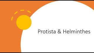 Introduction to Protista and Helminthes [upl. by Llen]