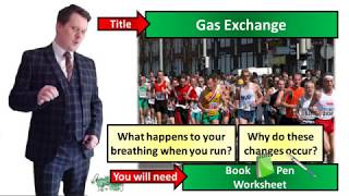 Gas Exchange  Biology  Key Stage 3  Mr Deeping [upl. by Cagle]