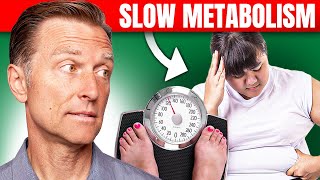 The Best Way to Fix a Slow Metabolism – Dr Bergs Expert Advice [upl. by Prudence]