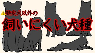 知らないで飼うと後悔する犬の雑学 犬犬好き [upl. by Akyssej]