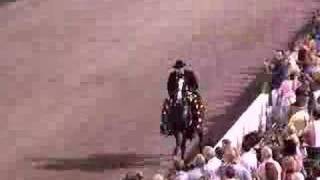 Walking Horse World Champion Master of Jazz Victory Pass [upl. by Libbey]