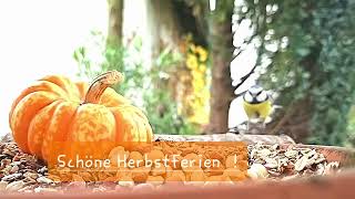 Schöne Herbstferien [upl. by Burnham]