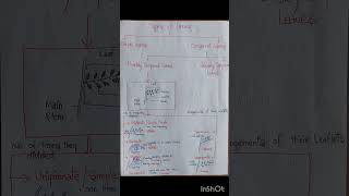 Types of leavespinnatelycompoundbiologyclass11studyleavesshortsshortsyoutubechallenge day64 [upl. by Dranik]