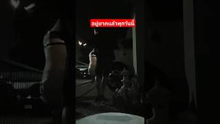 เหตุเกิดขึ้นไวมาก fypシ゚viral สายฮา funny comedy คนไทยเป็นคนตลกคลายเครียด ตลก [upl. by Rojas490]