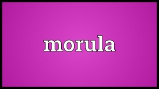 Morula Meaning [upl. by Kimbra]