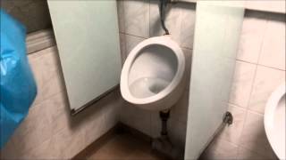 How to unclog your toilet without a plunger  QUICK AND EASY [upl. by Louanne]