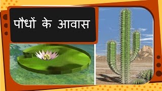 Science  Plant Habitat and adaptation  Hindi [upl. by Noseaj]