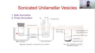 Liposomes Processing after Physical Dispersion [upl. by Odareg296]