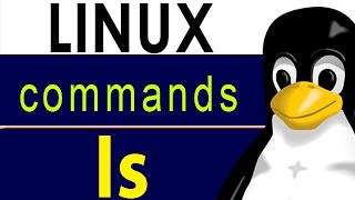 Linux commands ls How to list directory contents [upl. by Yanaj]