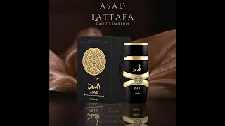 Why This 30 Perfume Smells Like 300 Lattafa Asad [upl. by Ahsenot]