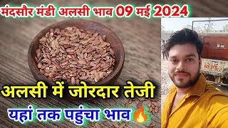 Flax seeds Rate  मंदसौर मंडी अलसी का भाव  flax Sede Rate in Mandsaur Mandi  अलसी का बाज़ार भाव [upl. by Joash]