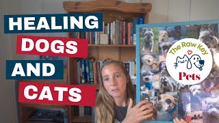 Healing Dogs and Cats Daily Chat Episode 001 [upl. by Lepper]