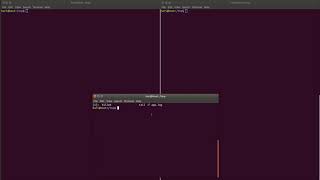 kill TSTP CONT signals with strace  Linux  Command Line [upl. by Biles]