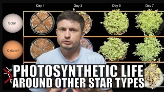 Exciting Discoveries About Photosynthesis Around KType Stars [upl. by Eirroc]