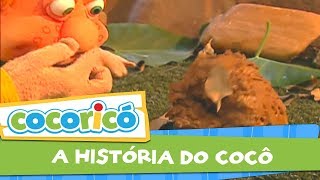 Videoclipe  A história do Cocô [upl. by Harriet943]