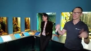 Livestream von der Wiedereröffnung des Aquarium im Naturkundemuseum Potsdam [upl. by Henke]