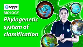 Phylogenetic system of classification  Classification and nomenclature  Class 11 Biology [upl. by Levan]