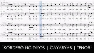 Kordero ng Diyos  R Cayabyab  Tenor [upl. by Ansel672]