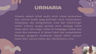 ANATOMI GINJAL DAN SISTEM URINARIA [upl. by Stier]