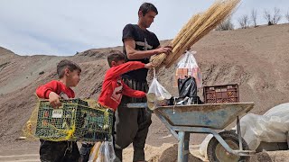 rural life  Babak goes to Garmsir after planting a tree [upl. by Ennahtebazile]