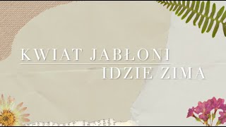 Idzie Zima  Kwiat Jabłoni  Karaoke [upl. by Kcirredal]